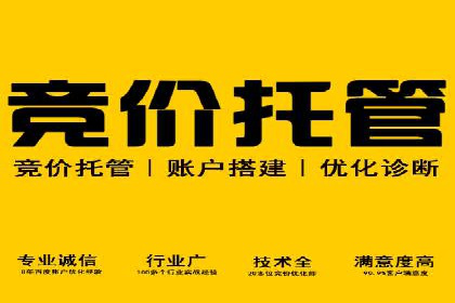 百度推广中的用户行为分析：基于案例的深度解析